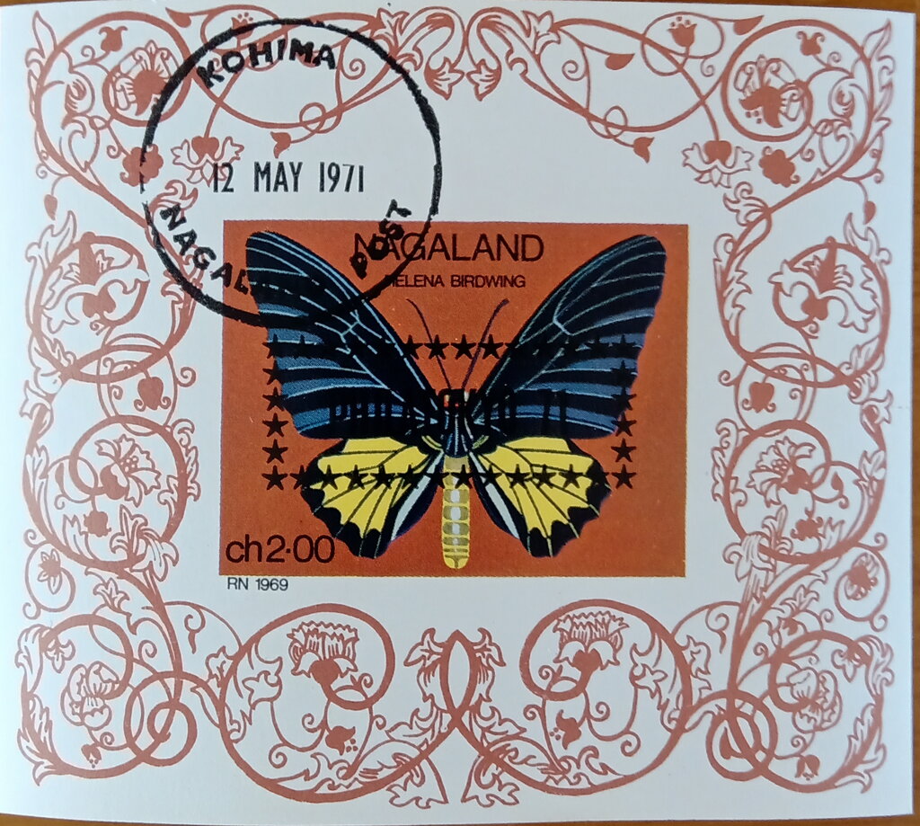 Butterfly