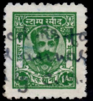 Maharaja's portrait