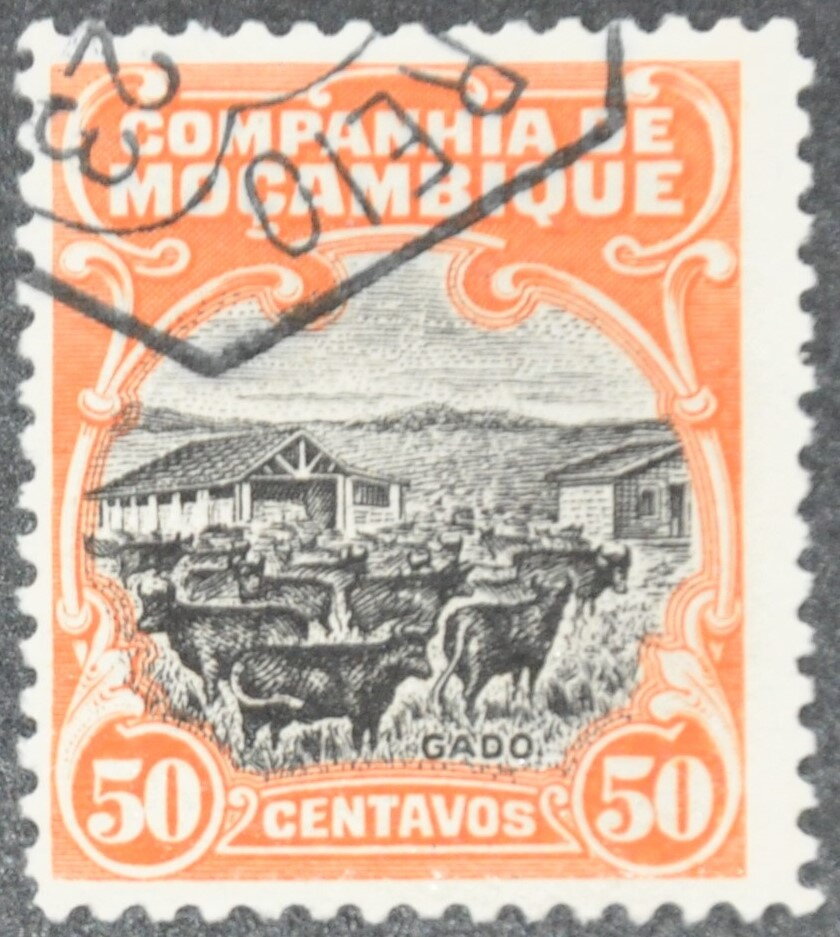 Cattle Breeding (Bos primigenius taurus)