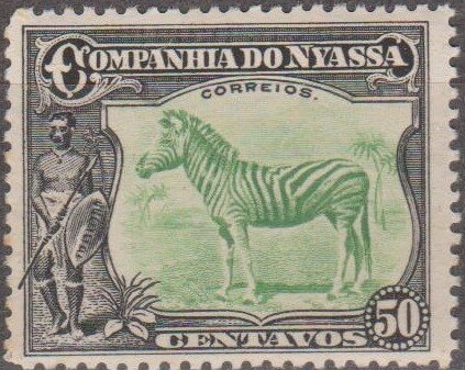 Plains Zebra (Equus quagga)