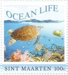 Ocean Life