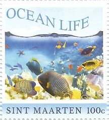 Ocean Life