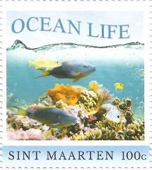 Ocean Life