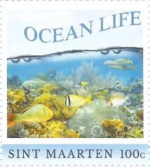 Ocean Life
