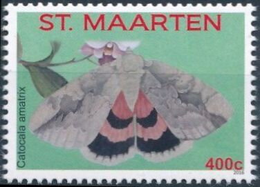 Sweetheart Underwing (Catocala amatrix)