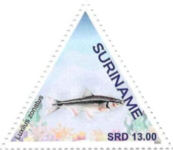 Stamp, Bleeding Shiner (Luxilus zonatus), Suriname,  , Fishes