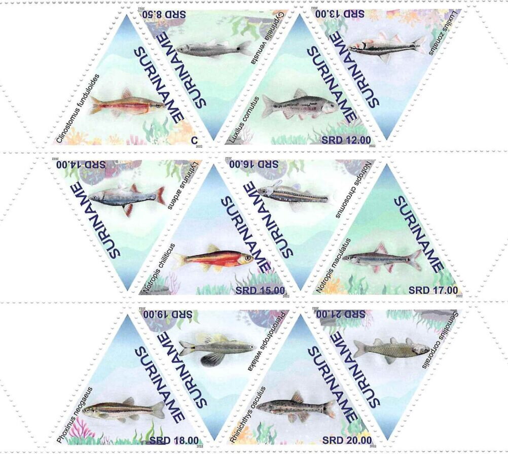 Fish of Suriname