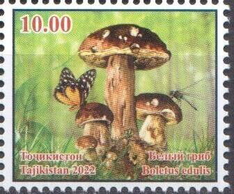 Stamp, Boletus edulis and Butterfly, Tajikistan,  , Animals (Fauna), Butterflies, Insects