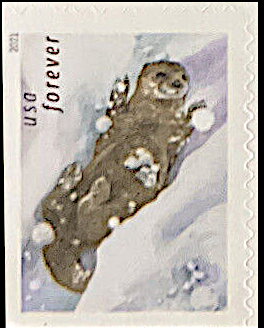Otters in the Snow