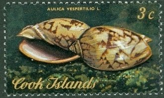 Stamp, Volute (Aulica vespertillio), Cook Islands,  , Shells