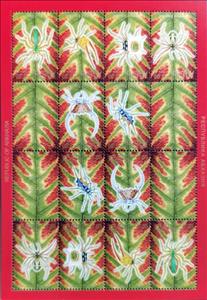 Full Pane, Spiders, Abkhazia,  , Spiders