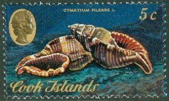 Stamp, Hairy Triton (Cymatium pileare), Cook Islands,  , Shells