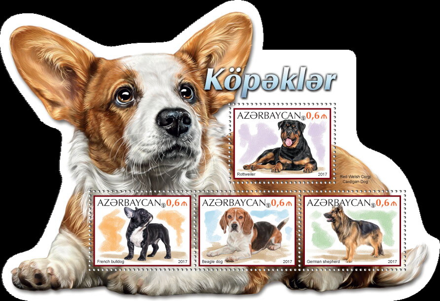 Dogs