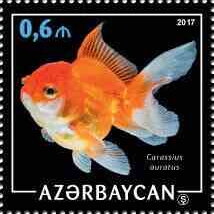 Goldfish (Carassius auratus)