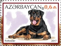 Rottweiler