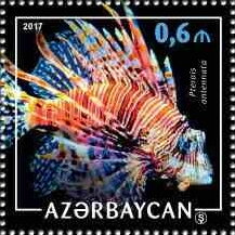 Spotfin Lionfish (Pterois antennata)
