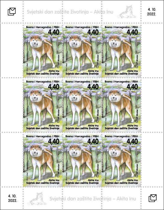 World Animal Protection Day - Akita Dog