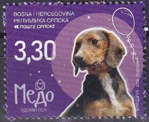Medo