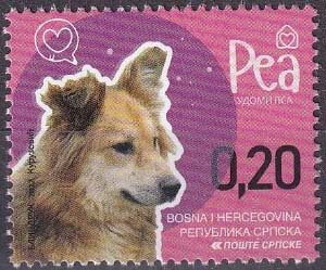 Rea