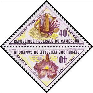 Se-tenant, Amorphophallus / Zingiberacee, Cameroun,  , Flowers, Plants (Flora), Triangle Stamps