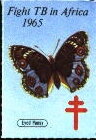 Fight TB in Africa; Eyed Pansy (Junonia orithya)
