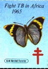 Fight TB in Africa; Gold Banded Forester (Euphaedra neophron