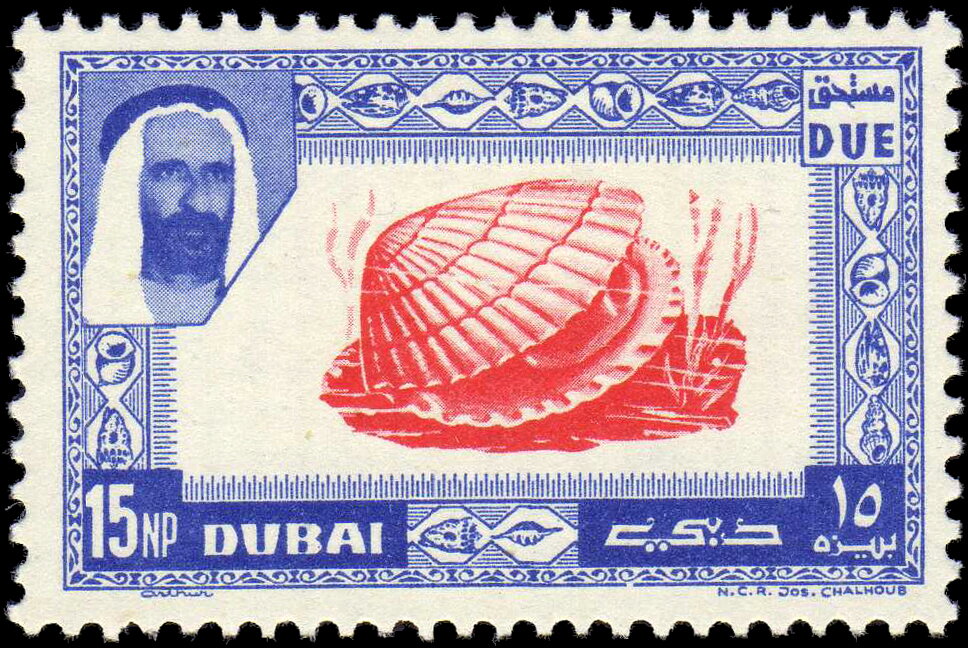 Clam