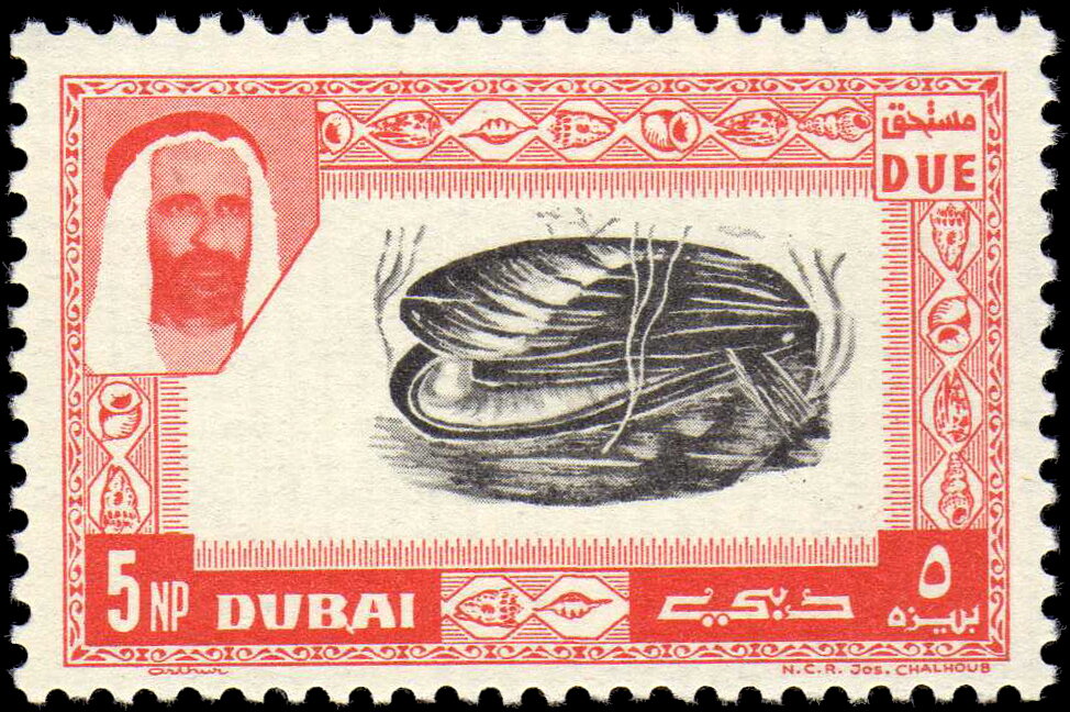 Mussel