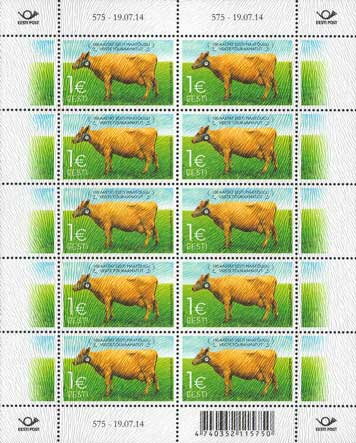 Domestic Cow (Bos primigenius taurus)