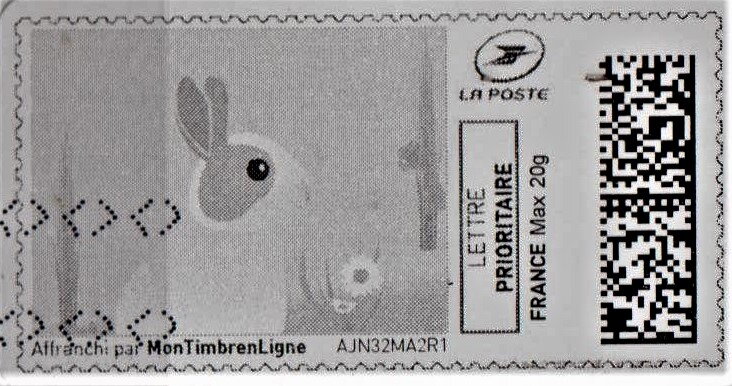 Rabbit in grey