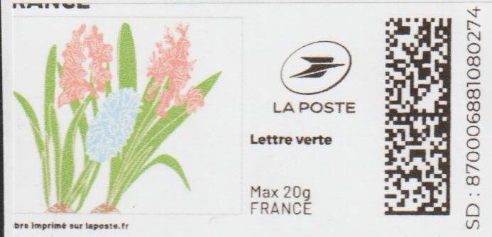 Spring. Pink and Blue Hyacinths. Redesign