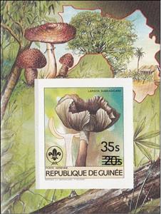 Souvenir Sheet, Lepiota subradicans, Guinea,  , Mushrooms, Scouting