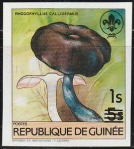 Stamp, Rhodophyllus callidermus, Guinea,  , Mushrooms, Scouting