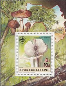 Souvenir Sheet, Thermitomyces globulus, Guinea,  , Mushrooms, Scouting