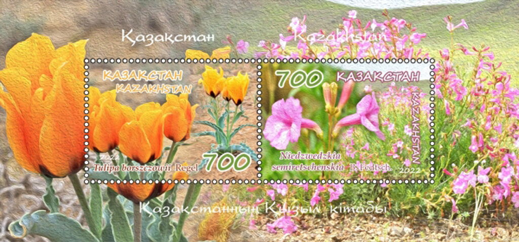 Flora of Kazakhstan