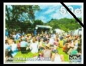 Stamp, Pohutukawa Festival, Personalized and Private Mail Stamps,  , Festivals