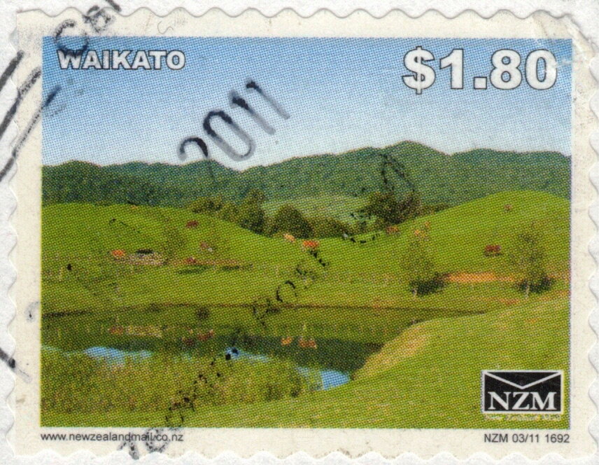 Waikato - Large Format