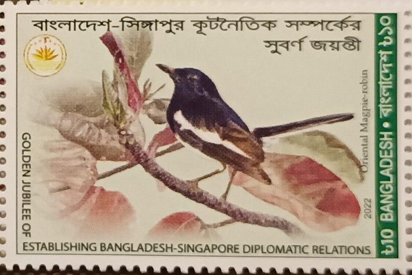 Oriental Magpie-Robin (Pica serica)