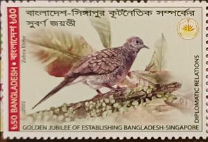 Stamp, Zebra Dove (Geopelia striata), Bangladesh,  , Birds, Joint Issues