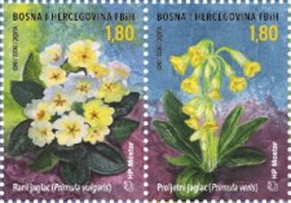 Se-tenant, Cowslip (Primula veris), Bosnia and Herzegovina, Croatian Admin,  , Flowers