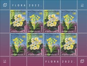 Full Pane, Cowslip (Primula veris), Bosnia and Herzegovina, Croatian Admin,  , Flowers