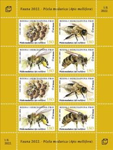 Full Pane, European Honey Bee (Apis mellifera), Bosnia and Herzegovina, Croatian Admin,  , Bees