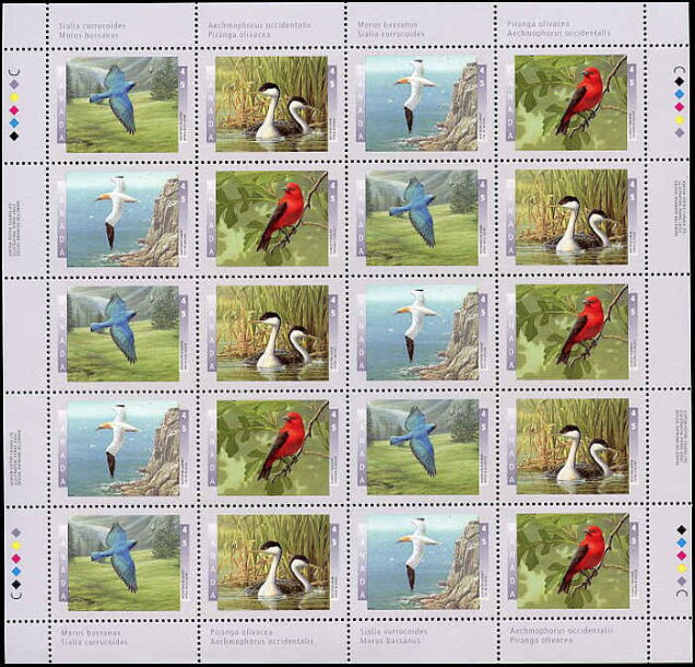 Birds of Canada