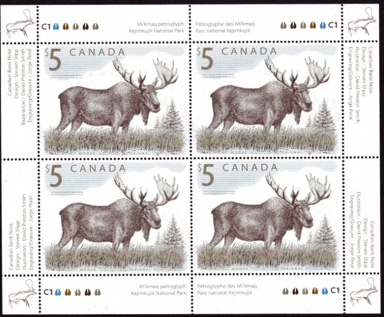 Moose (Alces alces)