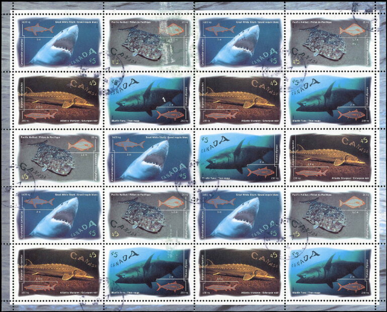 Ocenan Fishes
