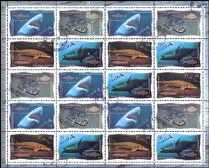 Full Pane, Ocenan Fishes, Canada,  , Animals (Fauna), Fishes, Sea Life, Sharks