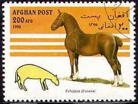 Horse (Equus ferus caballus), Epihippus (Eozän)