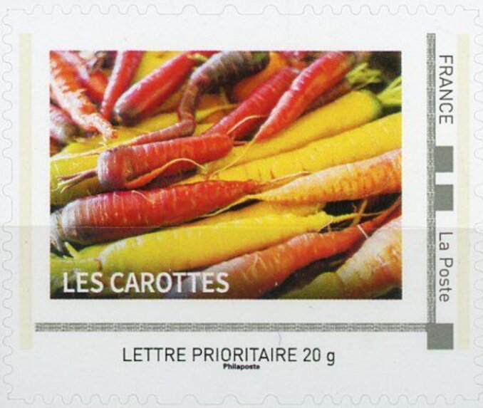 Carrots / Carottes
