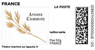 Oats Avoine Commun. Redesign