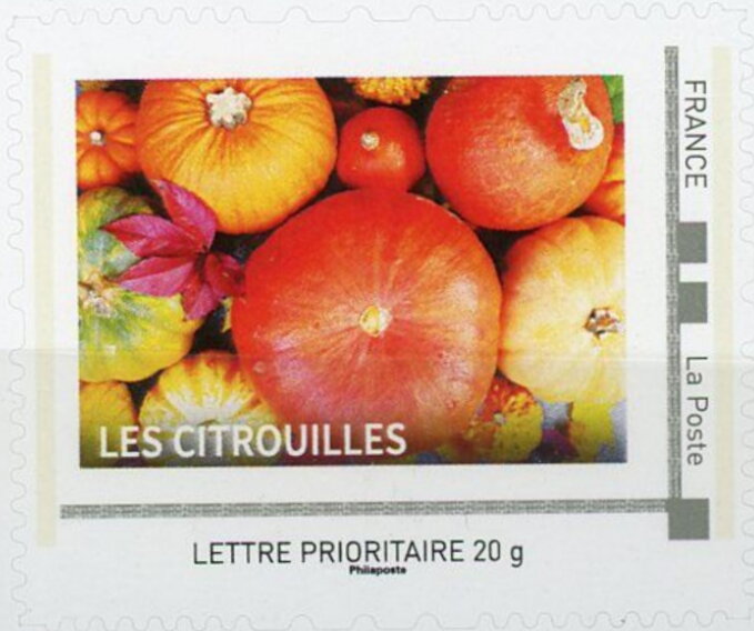 Pumpkins / Citrouilles
